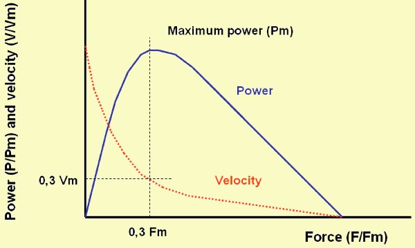  Relationship between applied force and the velocity of movement