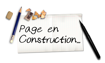 Page en Construction nataswim