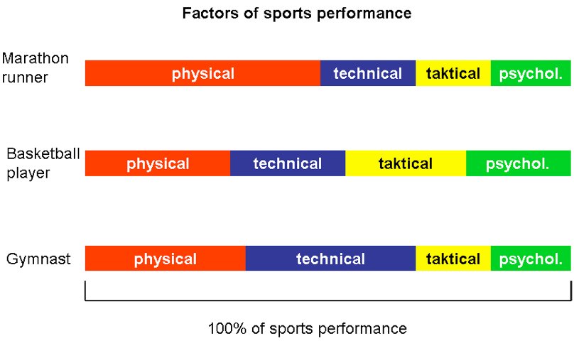 Basis of Sports Training 01
