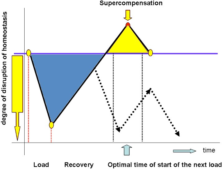 The emergence of supercompensation